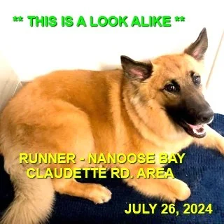 HAPPY ENDINGS - NANOOSE BAY BC. / JULY 26, 2024