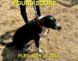 HAPPY ENDINGS - SOOKE BC. /  ABBY / JULY 25, 2024