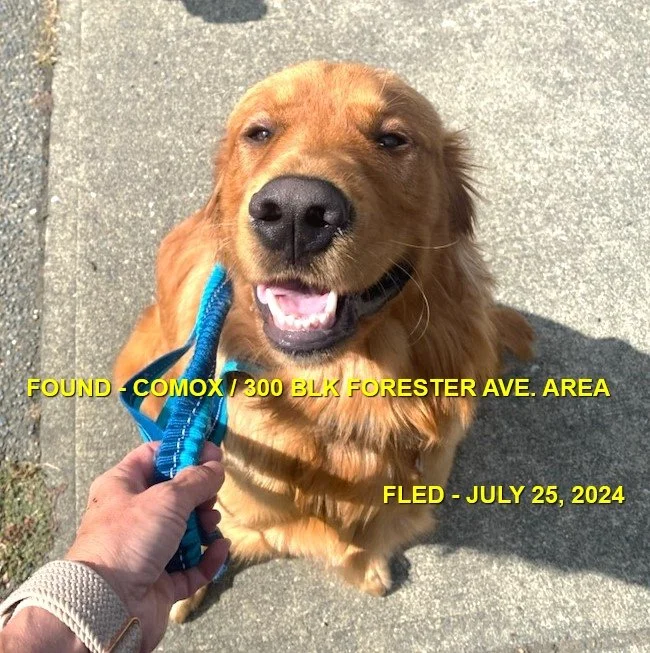 HAPPY ENDINGS - COMOX BC. / JULY 25, 2024