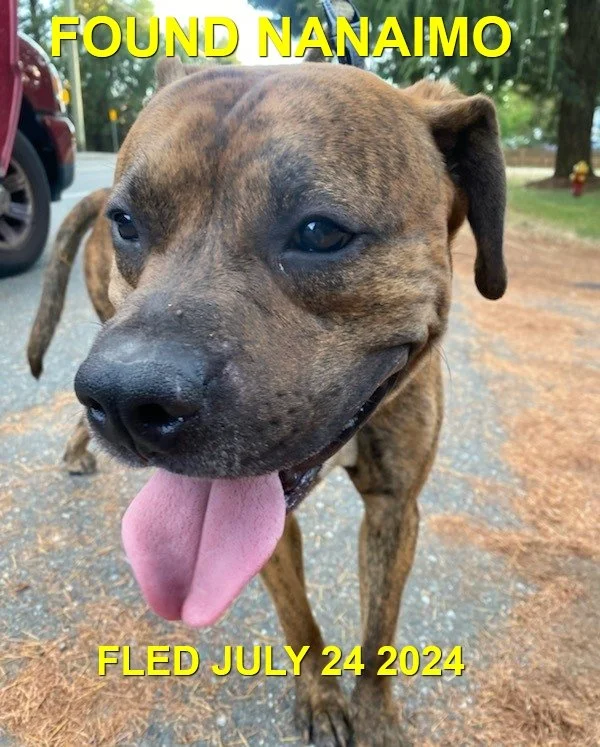 HAPPY ENDINGS - NANAIMO BC. / JULY 24, 2024