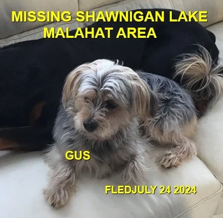 OVER THE RAINBOW BRIDGE - SHAWNIGAN LAKE BC. / GUS / JULY 23, 2024