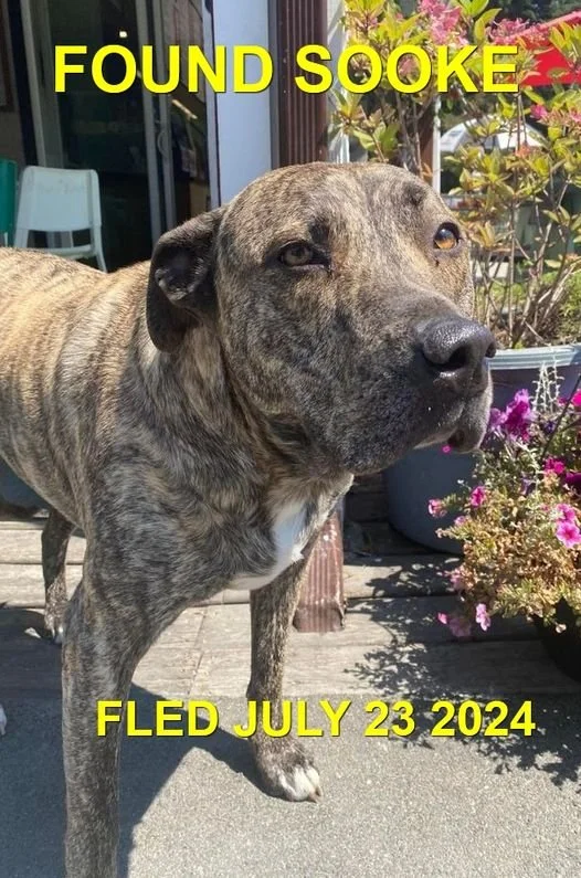 HAPPY ENDINGS - SOOKE BC. / JULY 23, 2024