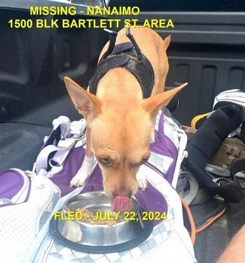 HAPPY ENDINGS - NANAIMO BC. / OLIVE / JULY 22, 2024