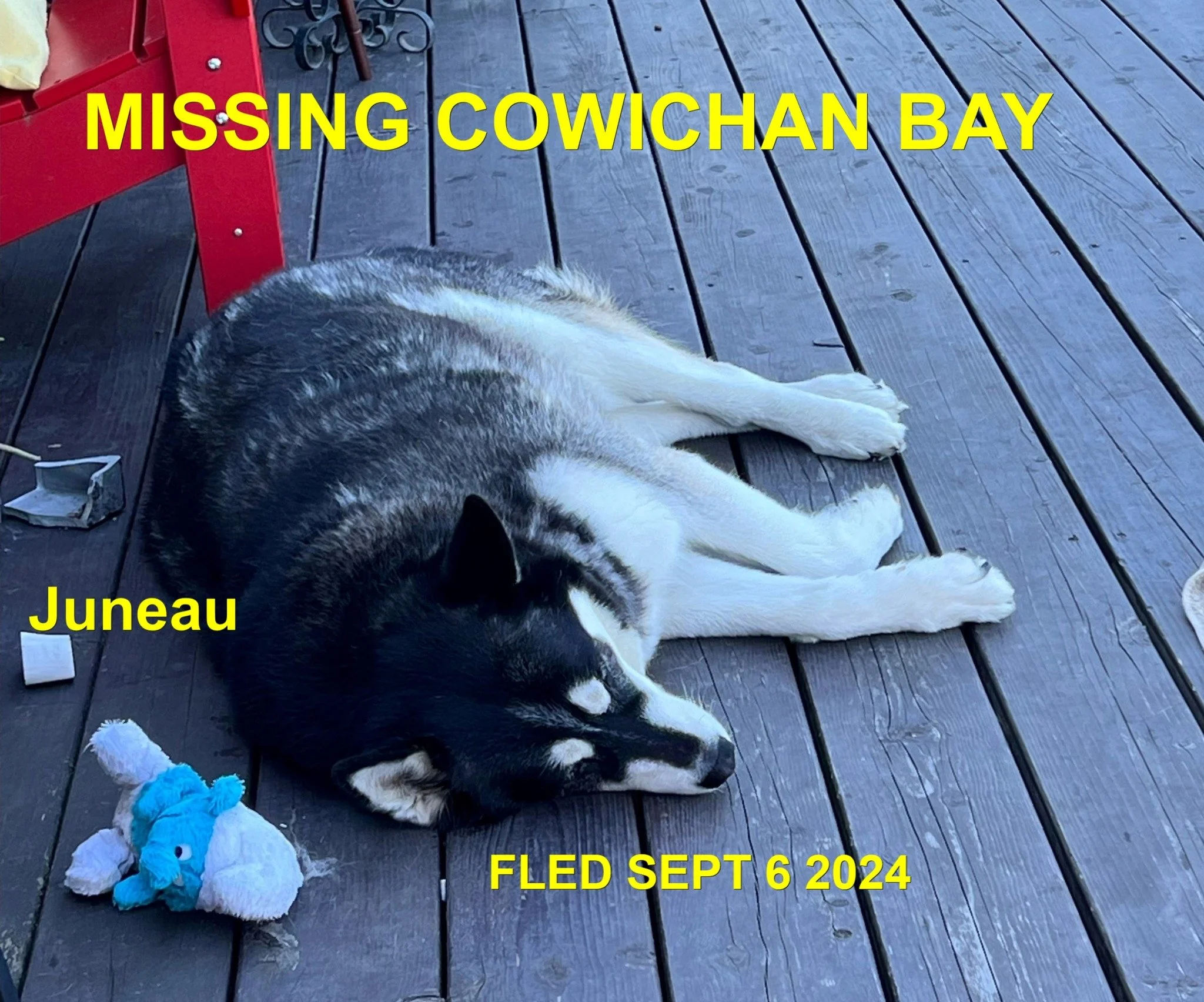 HAPPY ENDINGS - COWICHAN BAY BC. / JUNEAU / SEPT 6, 2024