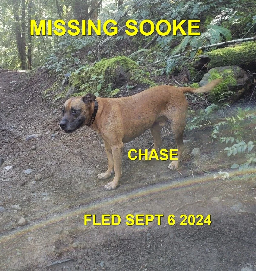 HAPPY ENDINGS - SOOKE BC. / CHASE / SEPT. 5, 2024
