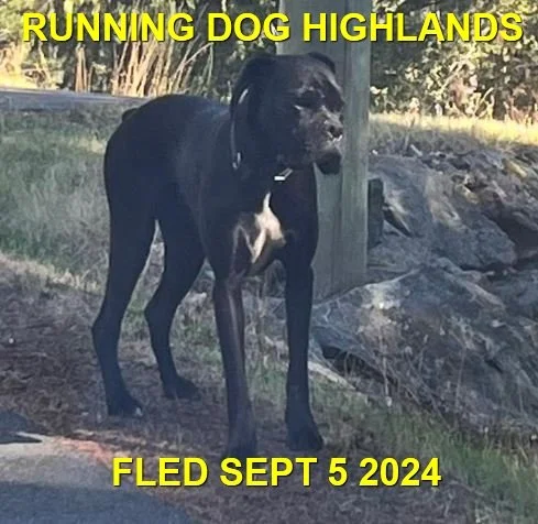 WENT HOME ON THEIR OWN - HIGHLANDS BC. / SEPT 5, 2024