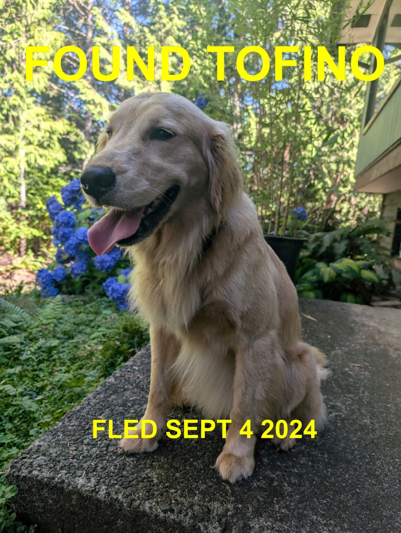 HAPPY ENDINGS - TOFINO BC. / SEPT 4, 2024