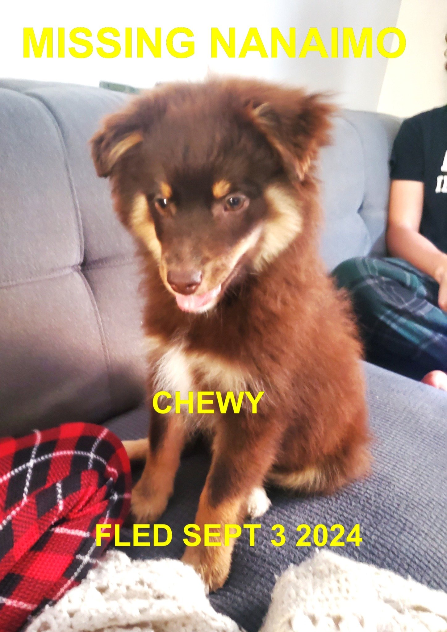 HAPPY ENDINGS - NANAIMO BC. / CHEWY / SEPT. 3, 2024