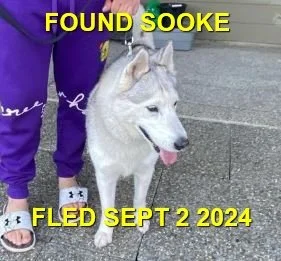 HAPPY ENDINGS - SOOKE BC. / SEPT 2, 2024