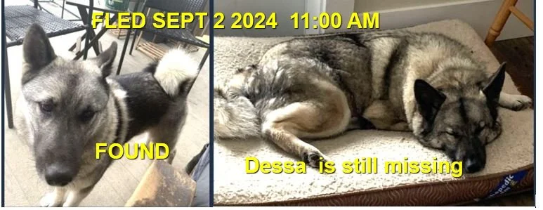 HAPPY ENDINGS - SHAWNIGAN LAKE BC. / DESSA &amp; REIN / SEPT 2, 2024