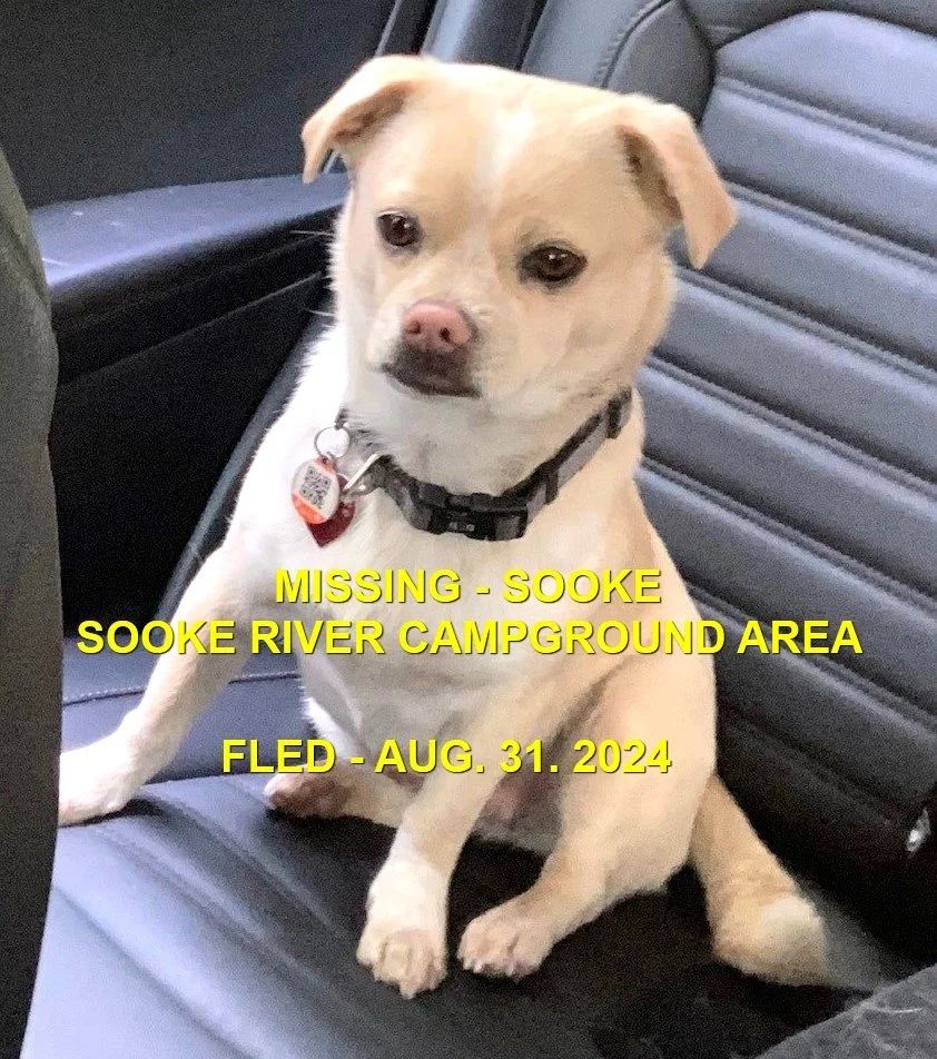 HAPPY ENDINGS - SOOKE BC. / KHALEESI / AUG. 31, 2024