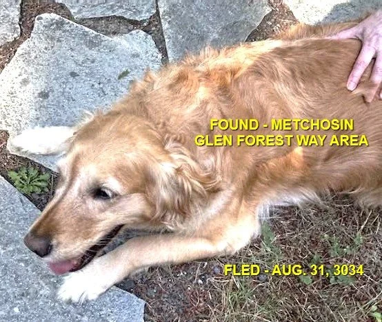 HAPPY ENDINGS - METCHOSIN BC. / JESSIE / AUG. 31, 2024