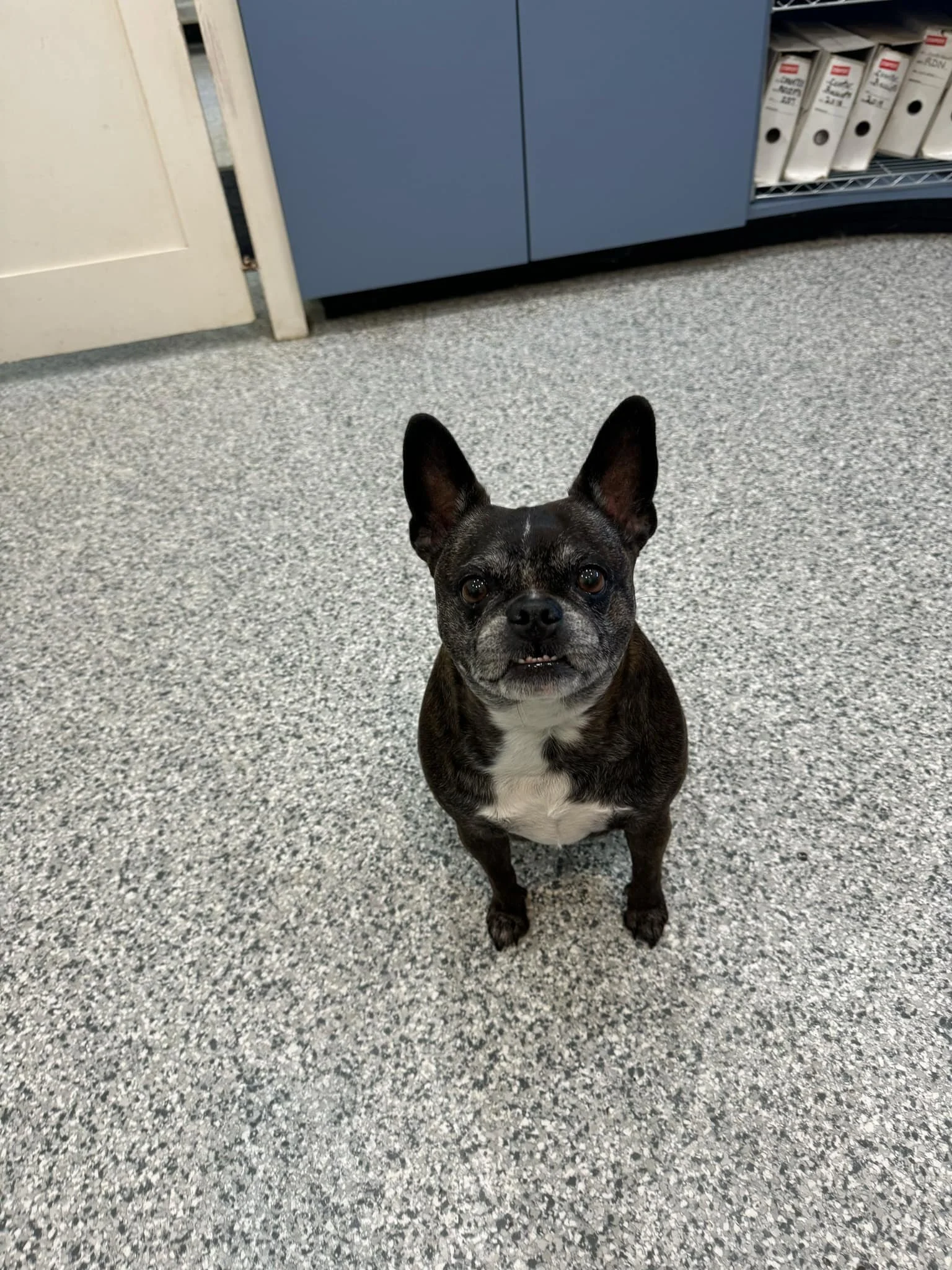 GONE TO SHELTER - GONE HOME - AUG. 31, 2024