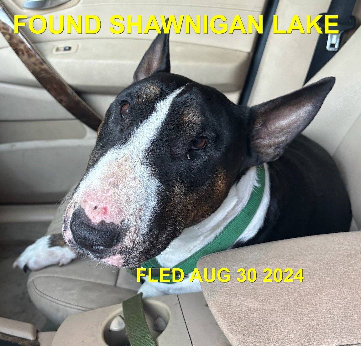 HAPPY ENDINGS - SHAWNIGAN LAKE BC.  / AUG. 29, 2024