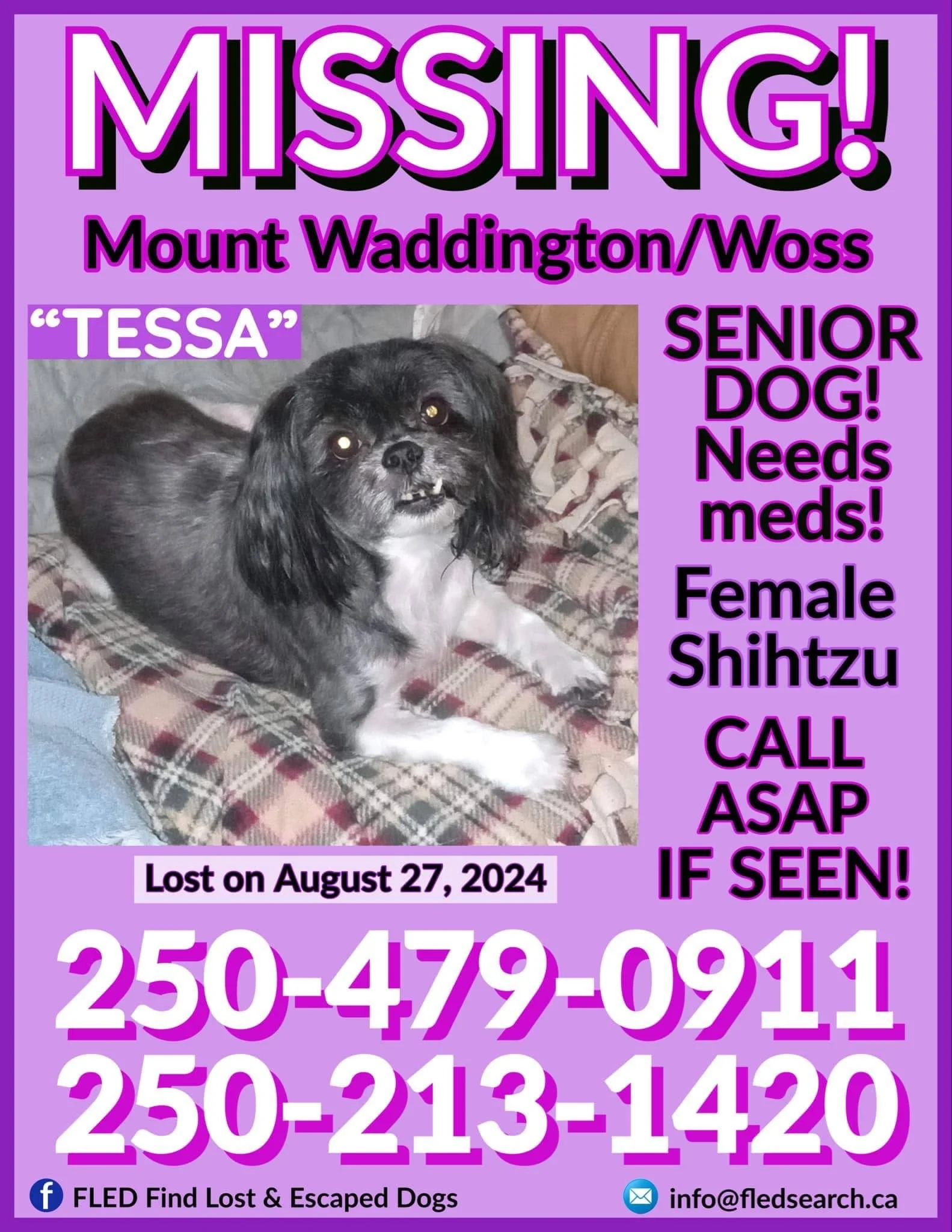 HAPPY ENDINGS - WOSS BC. / TESSA / AUG. 27, 2024
