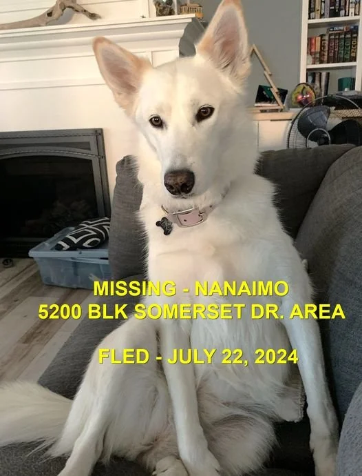 HAPPY ENDINGS -NANAIMO BC. / LUNA / JULY 22, 2024