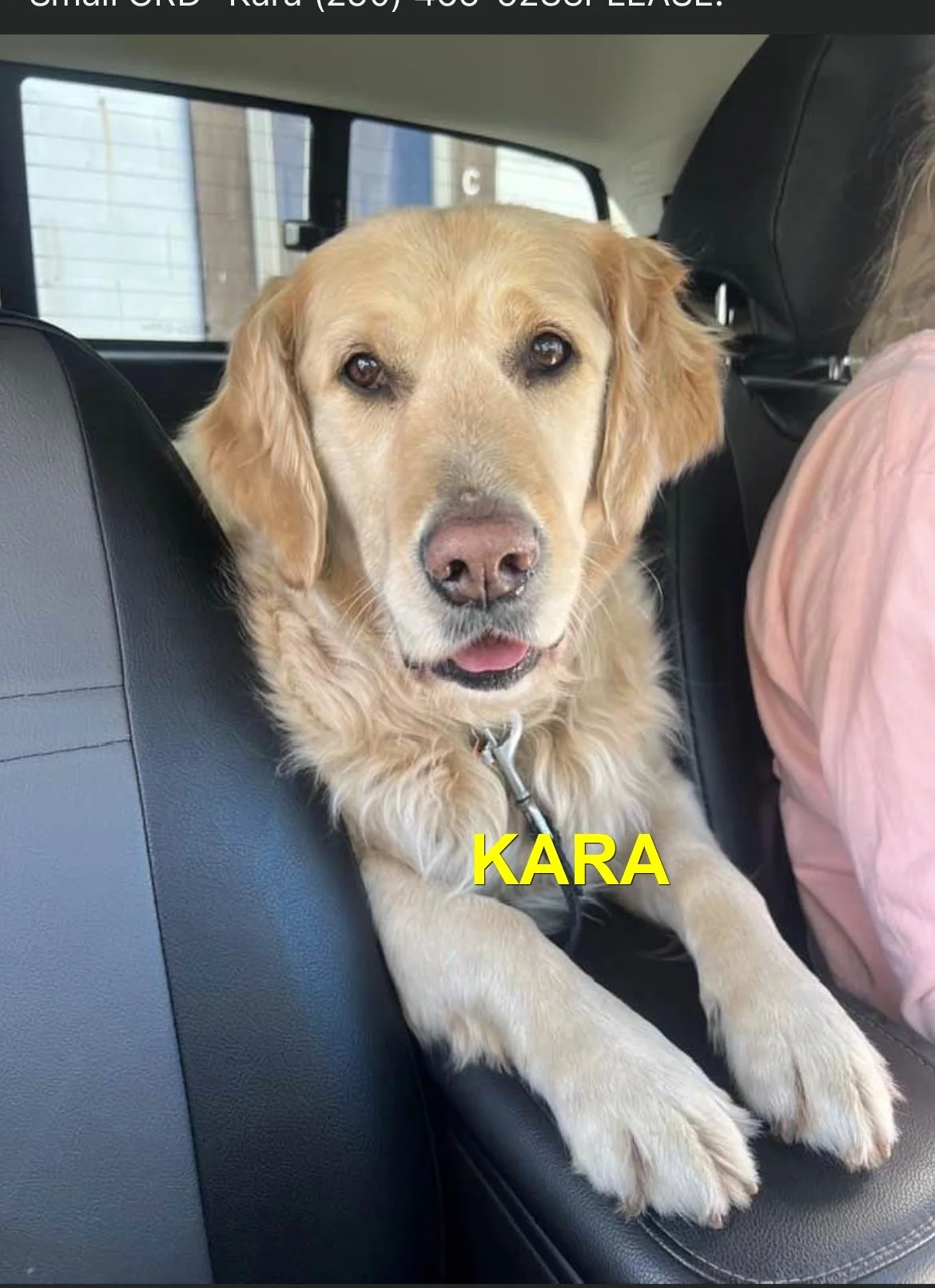 HAPPY ENDINGS - COURTENAY BC. / KARA / SEPT. 7, 2024