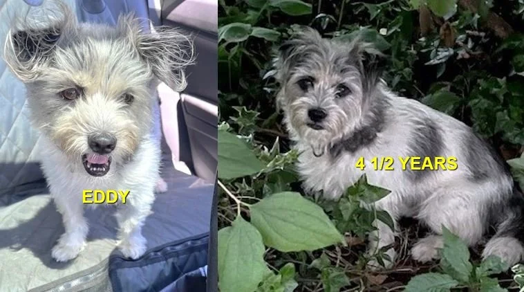 HAPPY ENDINGS - CAMPBELL RIVER BC. / EDDY / SEPT 6, 2024