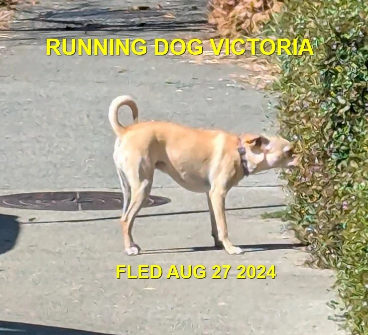 UNRESOLVED - VICTORIA BC. / AUG. 27, 2024