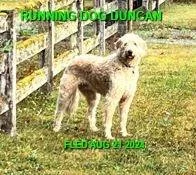 UNRESOLVED - DUNCAN BC. / AUG. 21, 2024
