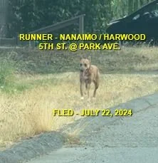 UNRESOLVED - NANAIMO BC. / JULY 22, 2024