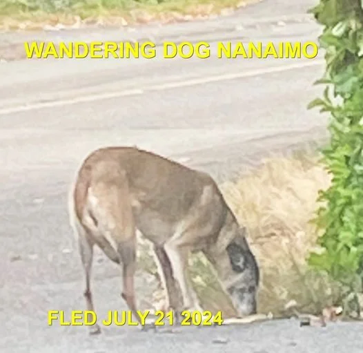 UNRESOLVED - NANAIMO BC. / JULY 21, 2024
