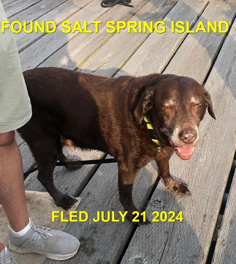 HAPPY ENDINGS - SALT SPRING IS. BC. / JULY 21, 2024