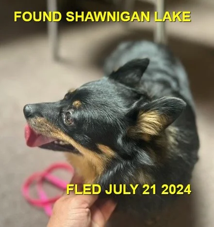 HAPPY ENDINGS - SHAWNIGAN LAKE BC. / JULY 21, 2024