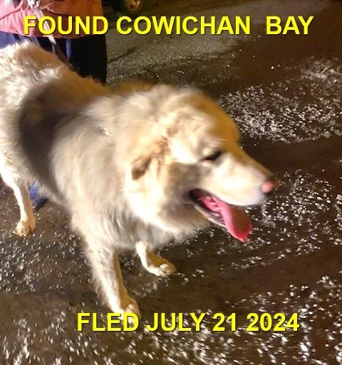 HAPPY ENDINGS - COWICHAN BAY BC. / JULY 20, 2024