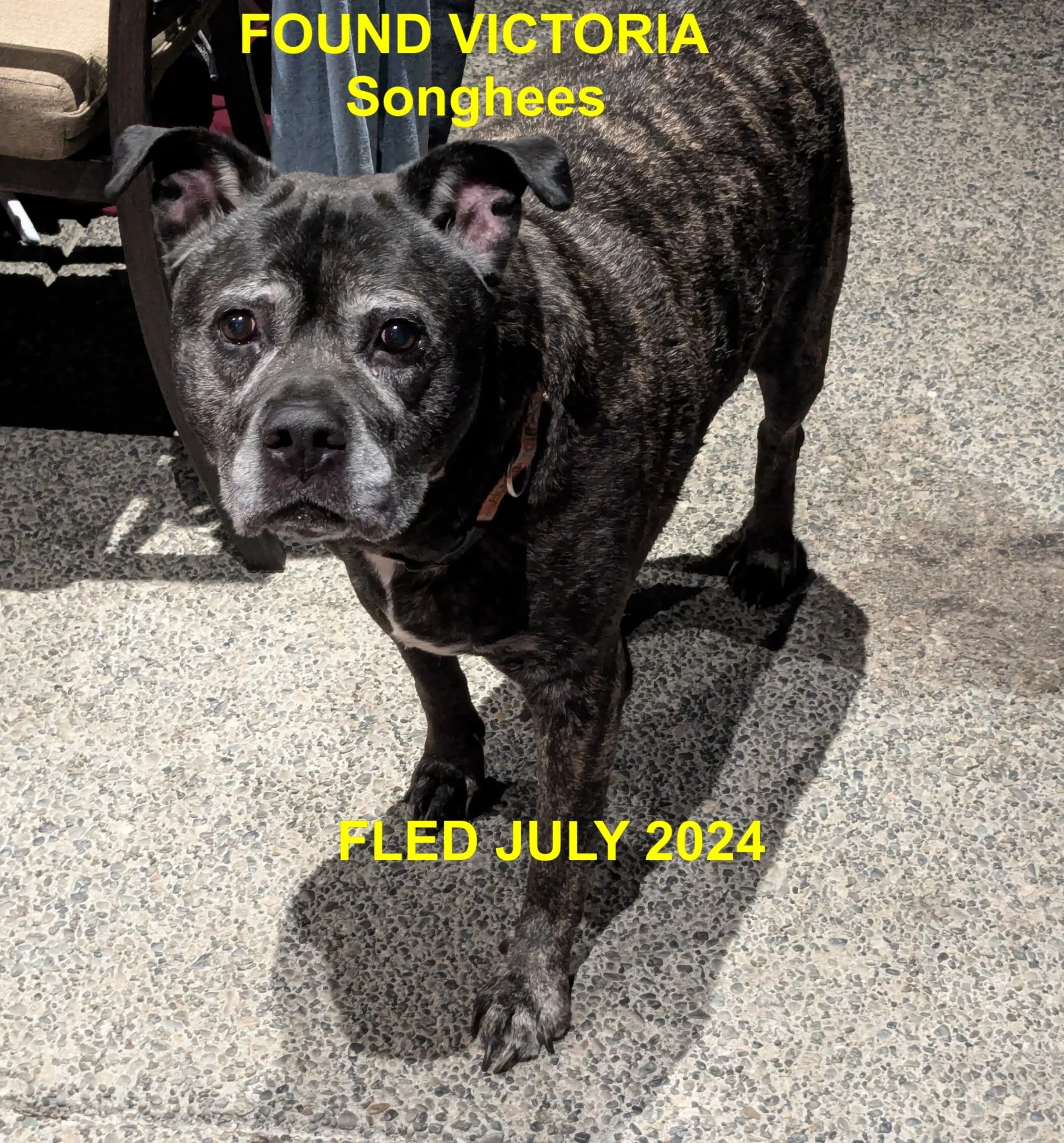 HAPPY ENDINGS - VICTORIA BC. / JULY 20, 2024