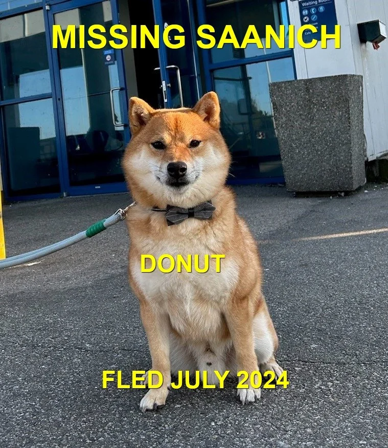 HAPPY ENDINGS - SAANICH BC. / DONUT / JULY 20, 2024