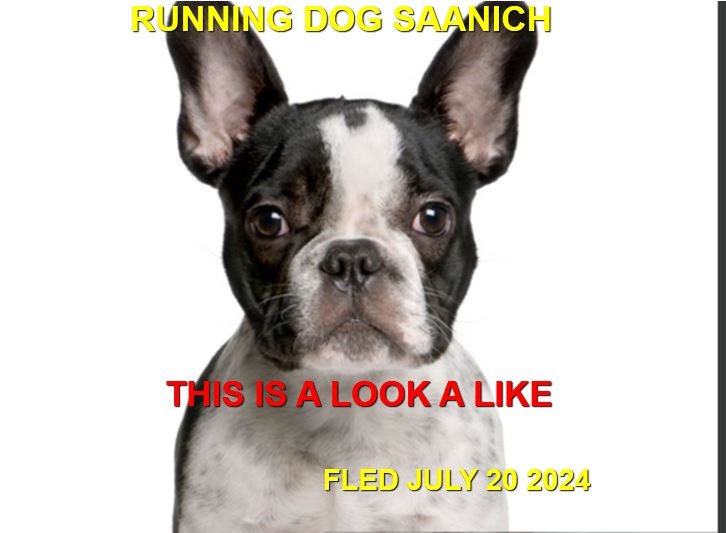 UNRESOLVED - SAANICH / JULY 20, 2024
