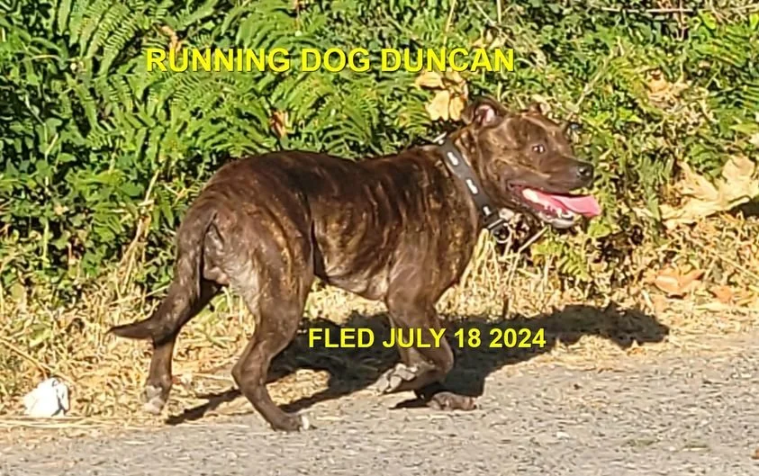 UNRESOLVED - DUNCAN BC. / JULY 18, 2024