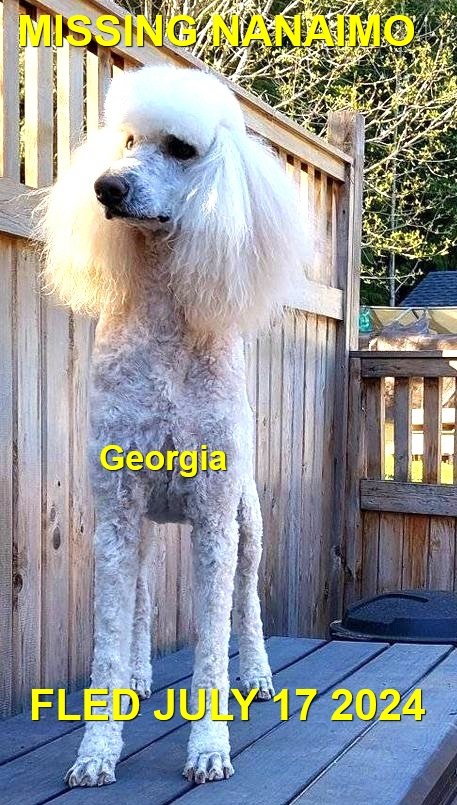 HAPPY ENDINGS - NANAIMO BC. / GEORGIA / JULY 17, 2024