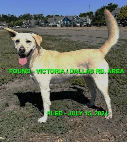 HAPPY ENDINGS - VICTORIA BC. / JULY 15, 2024