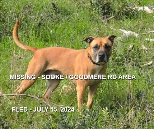 HAPPY ENDINGS - SOOKE / CHASE / JULY 15, 2024