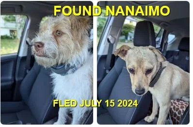 GONE TO SHELTER - NANAIMO BC. / JULY 15, 2024