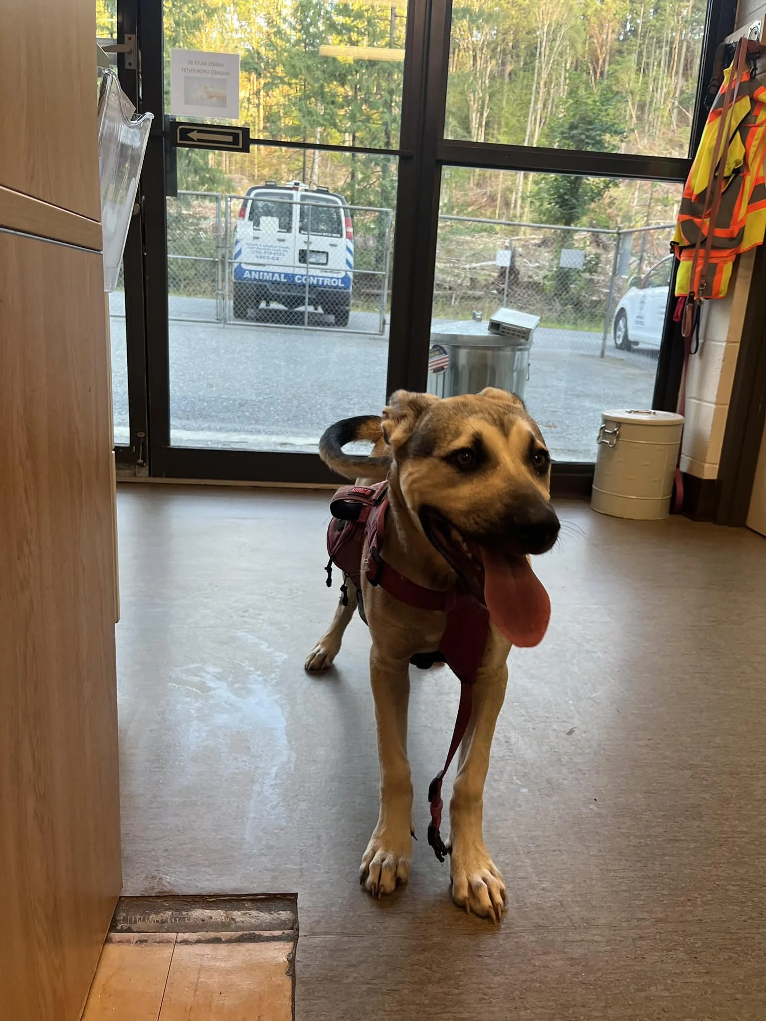 GONE TO SHELTER - NANAIMO BC. / JULY 14, 2024