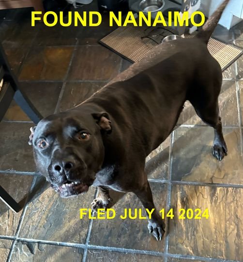 UNRESOLVED - NANAIMO BC. / JULY 14, 2024