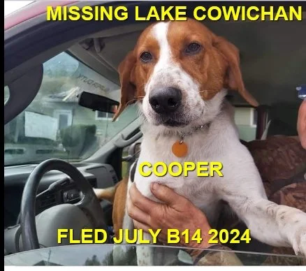 HAPPY ENDINGS - LAKE COWICHAN BC. / COPPER / JULY 14, 2024