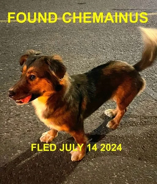 HAPPY ENDINGS - CHEMAINUS BC. / JULY 13, 2024