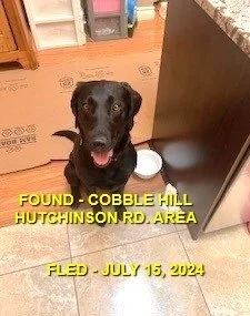 HAPPY ENDINGS - COBBLE HILL BC. / JULY 15, 2024