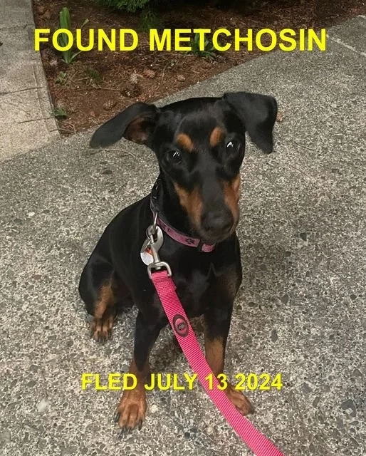 HAPPY ENDINGS - METCHOSIN BC. / JULY 12, 2024