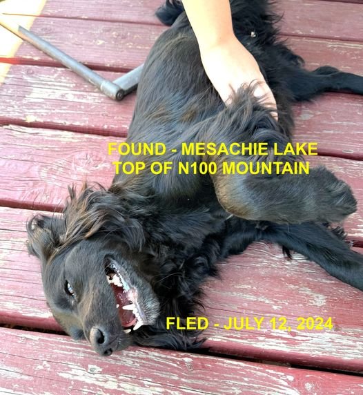 HAPPY ENDINGS - LAKE COWICHAN BC. / JULY 12, 2024