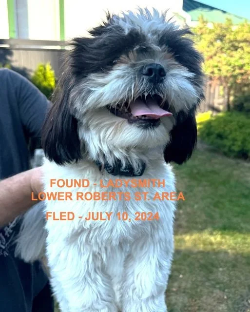 HAPPY ENDINGS - LADYSMITH BC. / JULY 10, 2024