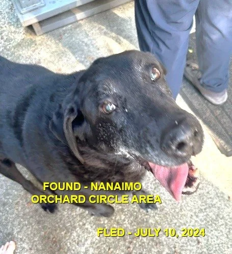 HAPPY ENDINGS - NANAIMO BC. / JULY 10, 2024