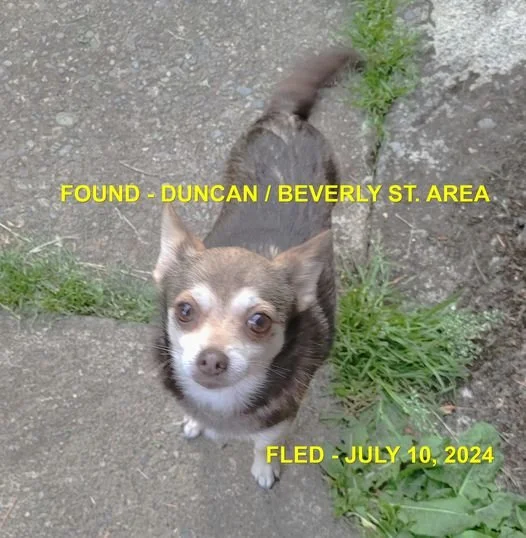 HAPPY ENDINGS - DUNCAN BC. / JULY 10, 2024