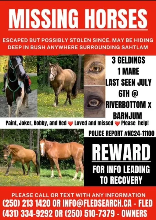 HAPPY ENDINGS - DUNCAN BC. / RED/JOKER/PAINT/BOB / JULY 9, 2024