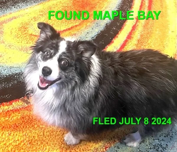 HAPPY ENDINGS - MAPLE BAY BC. / JULY 8, 2024