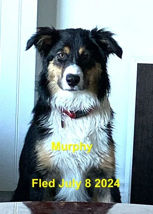 HAPPY ENDINGS - CAMPBELL RIVER BC. / MURPHY / JULY 8, 2024